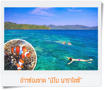 ดำน้ำ หมู่เกาะสุรินทร์